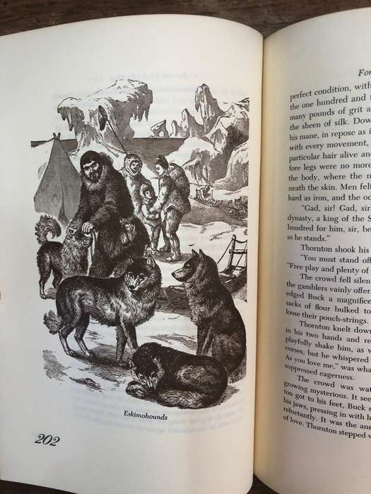 The Dog Lover's Reader - Timothy T Clarke (Hardcover book with no dj)