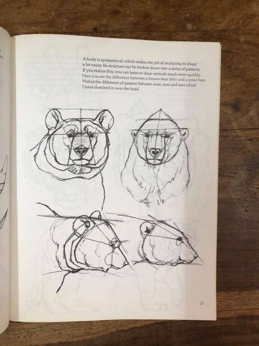 Draw Wild Animals - David Brown (Paperback)