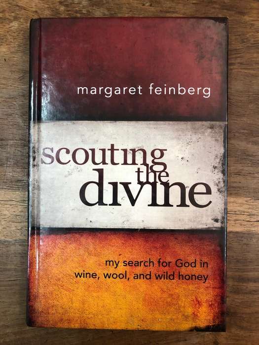 Scouting the divine - Margaret Feinberg (Hardcover with no dj)