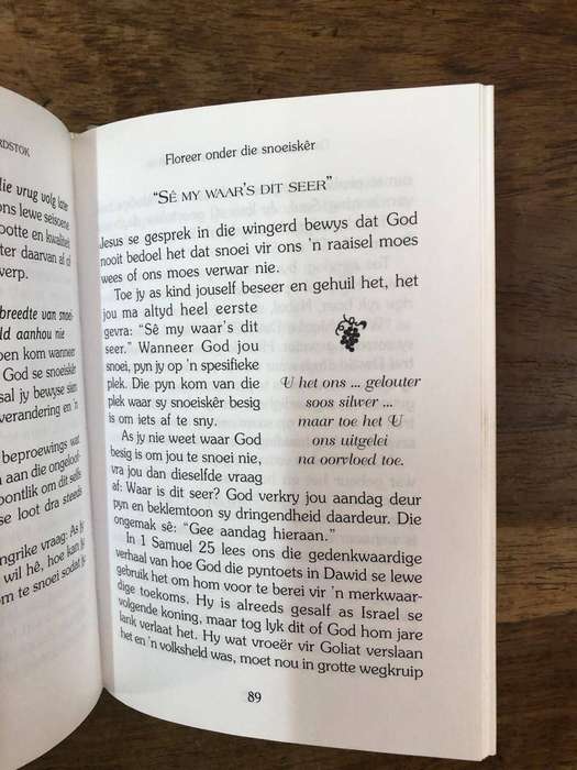 Die Geheimenis van die Wingerdstok - Bruce Wilkinson (Hardcover with no dj)
