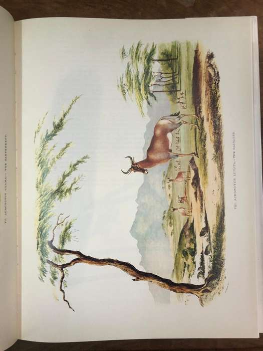 Portraits of the Game and Wild Animals of Southern Africa - Captain W Cornwallis Harris (Hardcoverdj