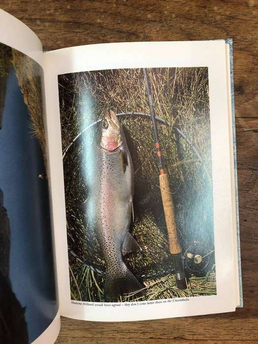 The Trout and Kingfisher - Malcolm Meintjies (Hardcover with no dj)