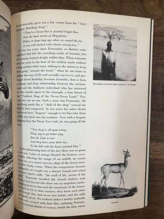The End of the Game - Peter Hill Beard (Hardcover with no dj)