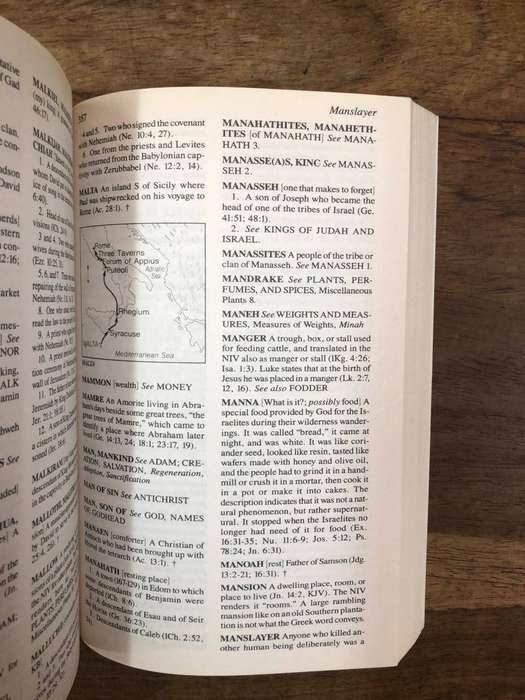 Young's Bible Dictionary - G Douglas Young (Paperback)
