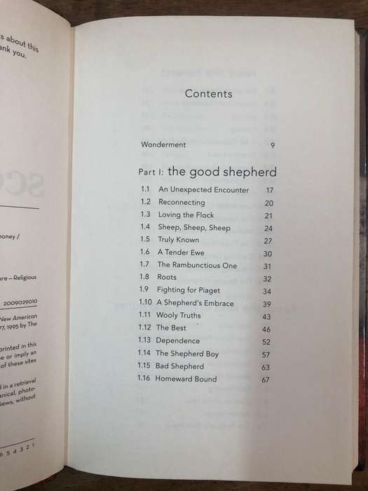 Scouting the divine - Margaret Feinberg (Hardcover with no dj)