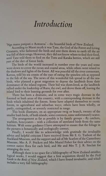 Small birds of the New Zealand bush - Elaine Power (Hardcover)