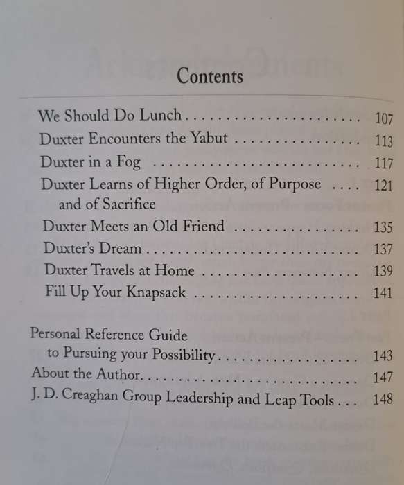 Leap! A Journey to Personal Power and Possibility - Jonathan Creaghan (Paperback)