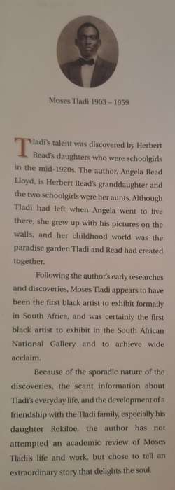 The artist in the garden - Angela Read Lloyd (Paperback)