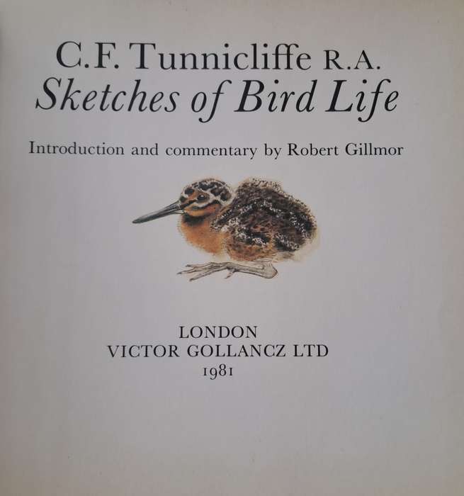 Sketches of bird life - Robert Gillmor (Hardcopy)