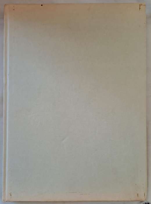 Shorelines, Birds at the waters edge - Michael Warren (Hardcover)