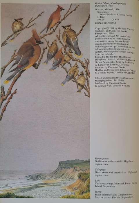 Shorelines, Birds at the waters edge - Michael Warren (Hardcover)