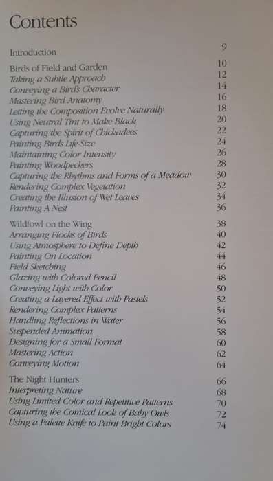 Painting Birds - Susan Rayfield (Hardcover)