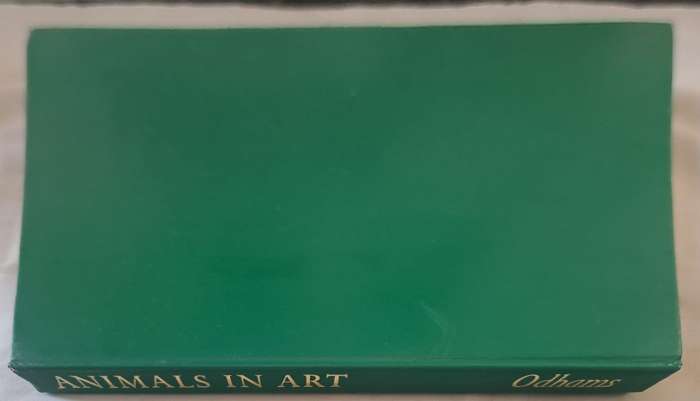 Animals in art - Denys Kay-Robinson (Hardcover)