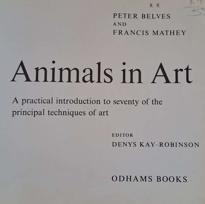 Animals in art - Denys Kay-Robinson (Hardcover)