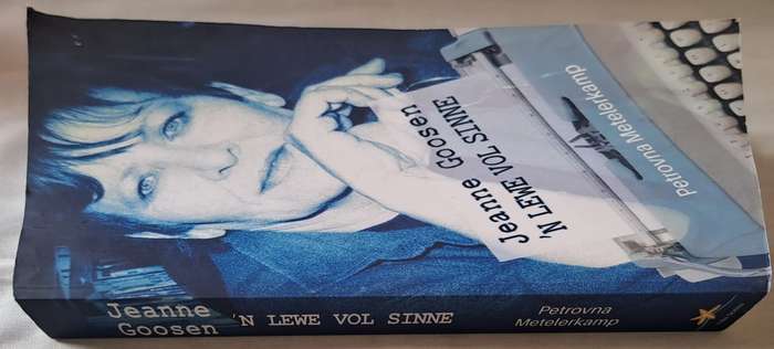 N lewe vol sinne - Jeanne Goosen (paperback)