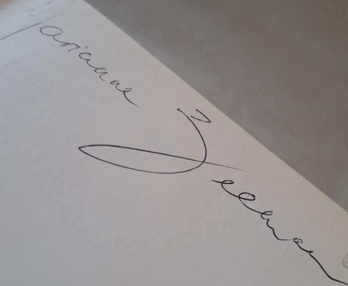 Die groot Verlange - Leon Rousseau (hard cover with dj)