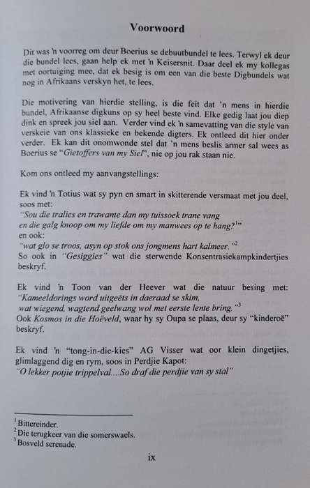 Gietoffers van my Siel - Boerius (paperback)