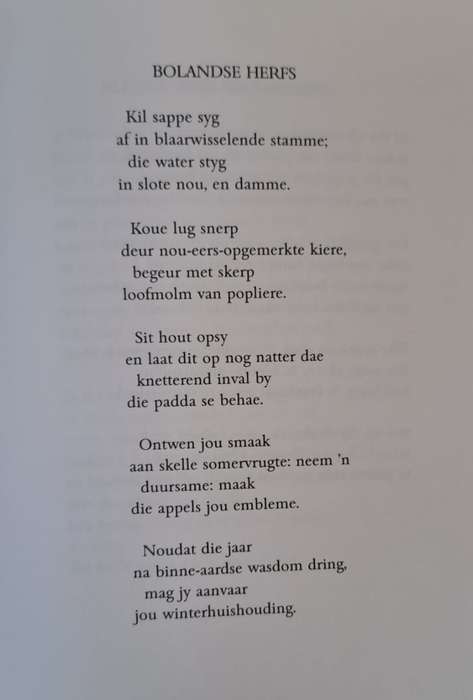 Enklaves van die Lig - Peter Blum (hard cover with no Dj)