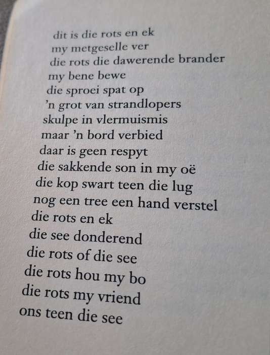 Vloeibare middelpunt - Martjie Bosman (paperback)