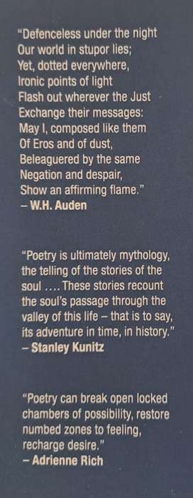 I wish id said...Vol.2 - Johann de Lange (paperback)