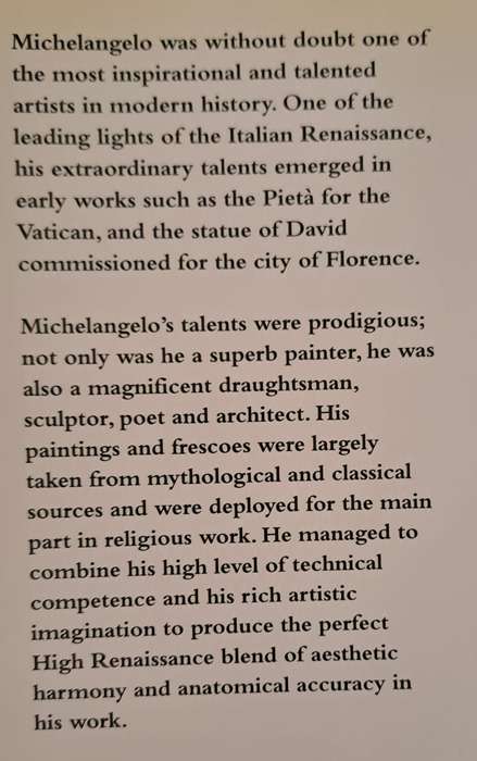 Michelangelo - Kirsten Bradbury (hard cover with dj)