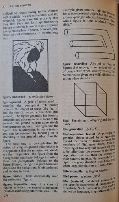 Dictionary of Psychology - S. Reber (paperback)