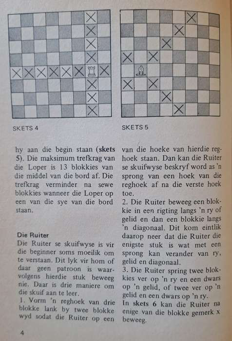 Skaak - Cor Nortje en Martin Serfontein (paperback)
