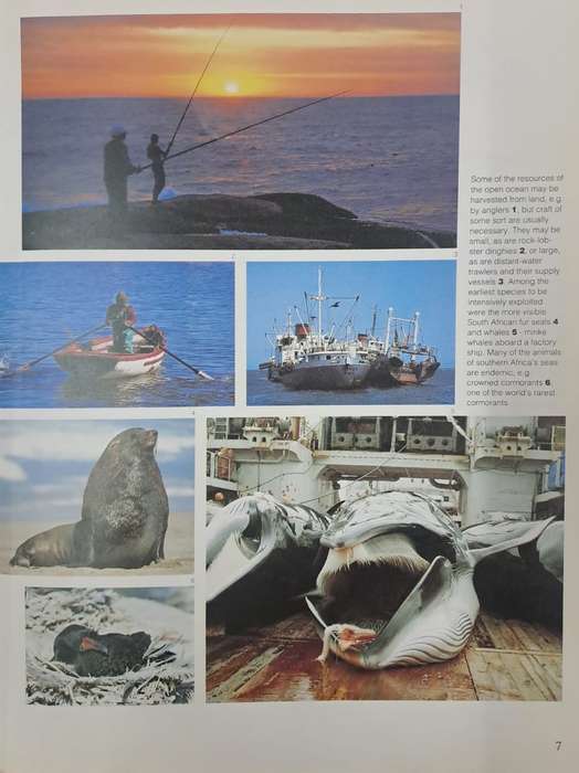 Secrets of the sea - A.I.L. Payne & R.J.M. Crawford (paperback)