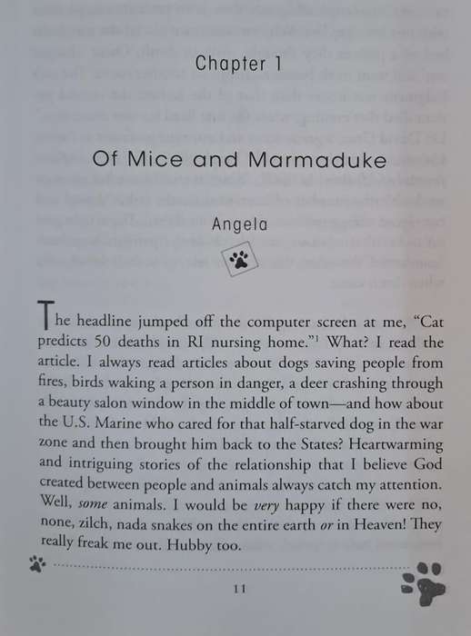 Will my pet go to heaven? - Shae Cooke (paperback)