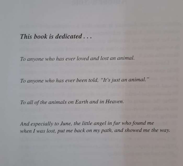 Animals and the Afterlife - Kim Sheridan (paperback)