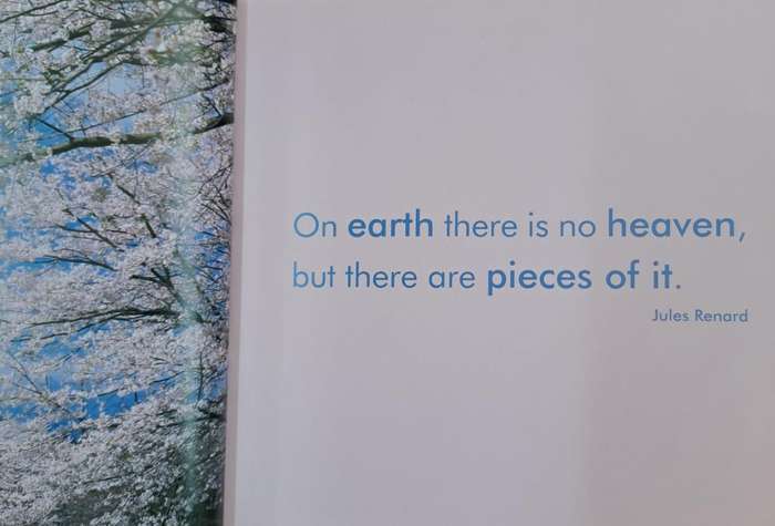 Quotable earth - Milly Brown (Hard cover)