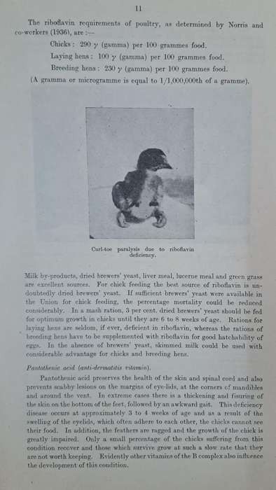 The Nutrition of Poultry - A. M. Gericke (paperback)