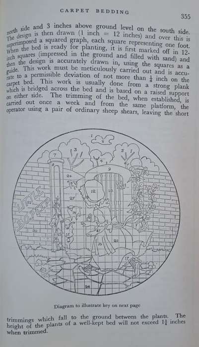 Standard garden practice for Southern Africa - Wilfrid G. SHEAT (Hard cover with dj)