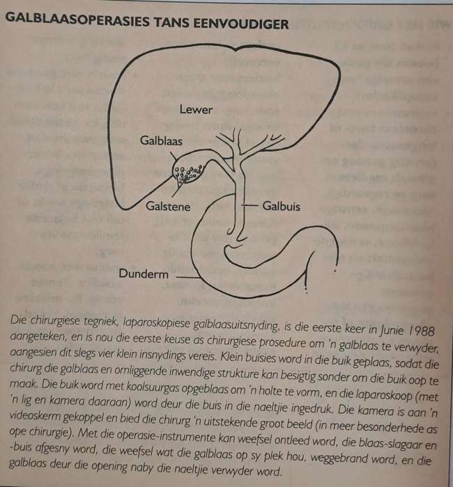 Die volledige Suid-Afrikaanse gesondheidsgids - June Engel (paperback)