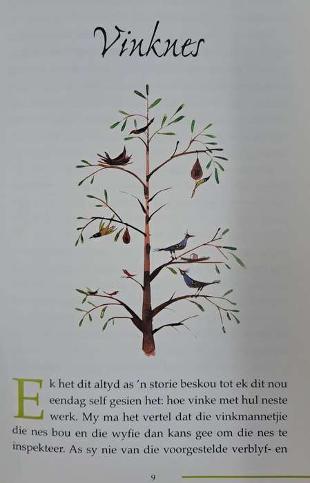 Liedjie uit n Towerfluit - Izak de Villiers (paperback)