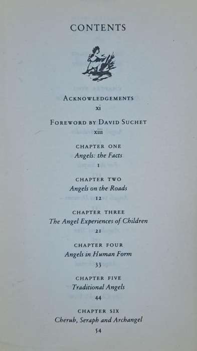 Angels - Hope Price (paperback)