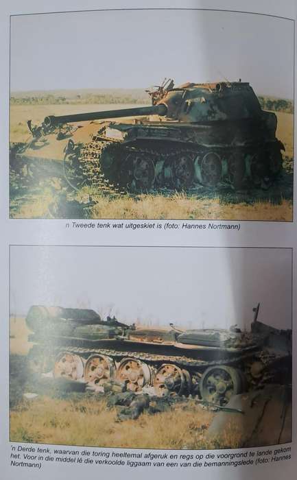 Die buffel struikel - L.J. Bothma (paperback)