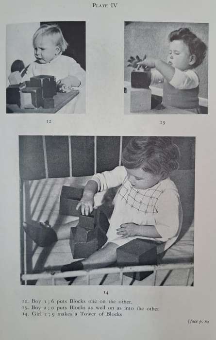 From the birth to maturity - Dr Charlotte Bühler (Hard cover with no dj)