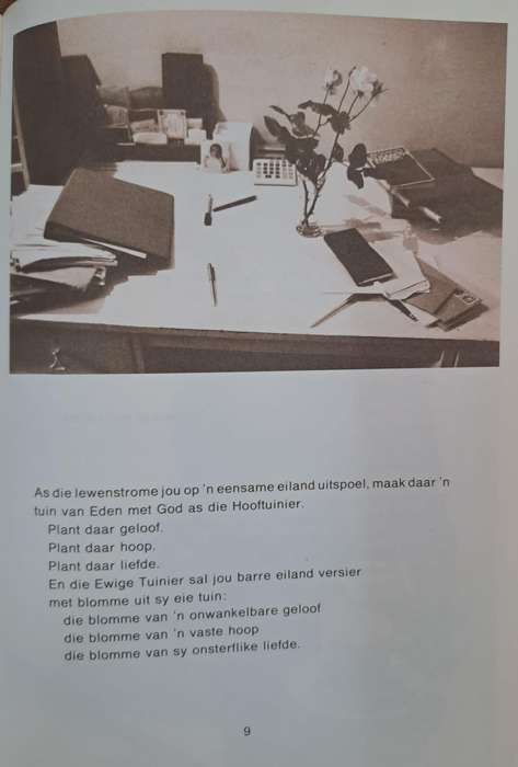 Vyfsterhotel - Naomi Nieuwoudt (Hard cover)