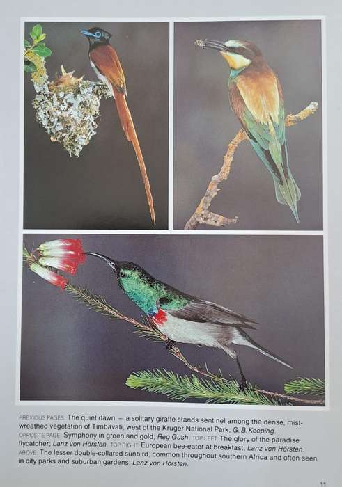 The best of wildlife photography in Southern Africa (Hard cover with dj)