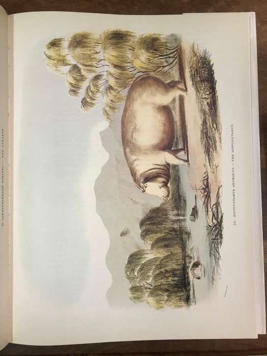 Portraits of the Game and Wild Animals of Southern Africa - Captain W Cornwallis Harris (Hardcoverdj