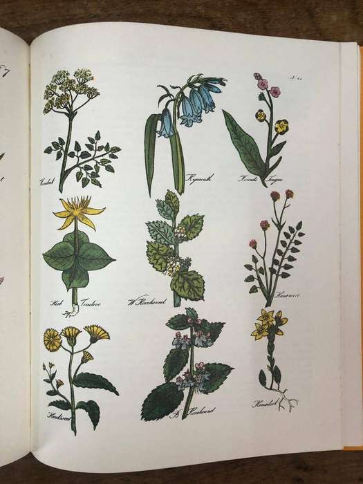 Culpeper's Complete Herbal and English Physician - Dr Johnson (Hardcover with dj)
