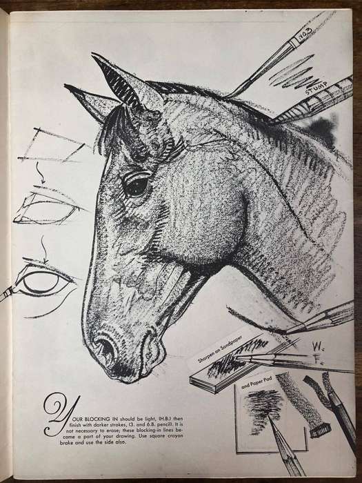 How to draw Horses - Walter Foster (Paperback)