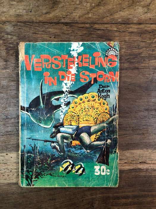 Verstekeling in die Storm - Anton Kogh (Paperback) Pronkboeke