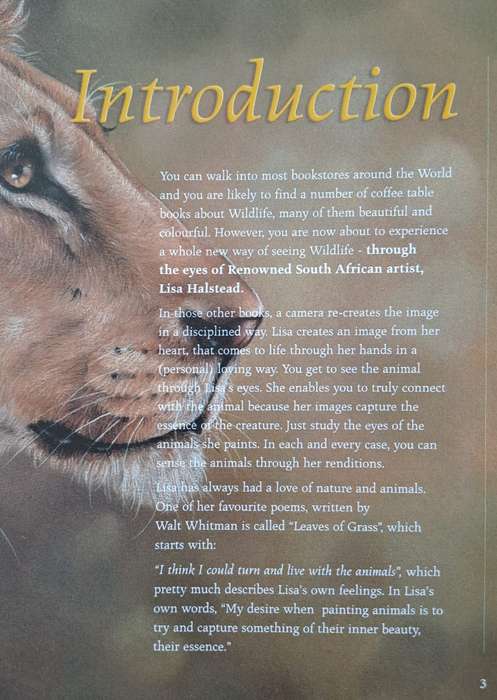 "Out of the Meek, comes the Wild" - David Elliot Wien (Hardcover with DJ)