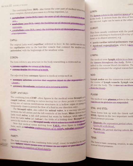 MEDICAL TERMINOLOGY FOR STUDENTS OF THE HEALTH PROFESSIONS - J.P. BOSMAN, JPK KRITZINGER (2014)
