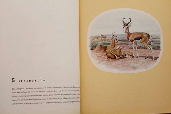 CALDWELL'S ANIMALS - WILLIAM FEHR (1962)