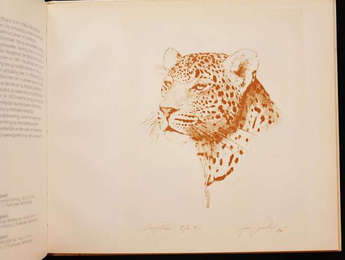 ANIMAL ART OF ETOSHA (1986)