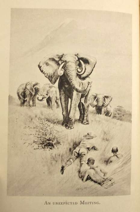 WANDERINGS AND MEMORIES by J.G. Millais (1919) - a hunting & shooting title