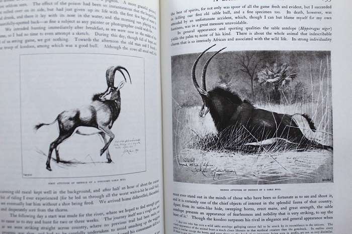 A BREATH FROM THE VELDT - J.G. MILLAIS - FACSIMILE REPRINT OF 1895 EDITION SIGNED BY EDITOR & ARTIST